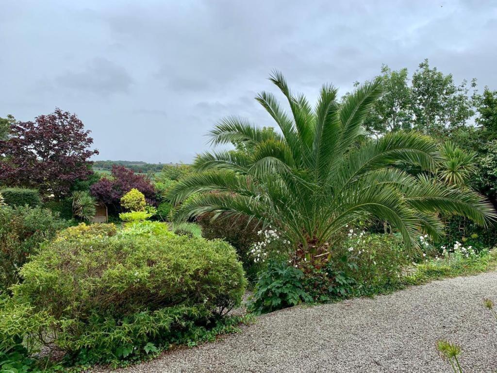 Penquite Holiday Accommodation Uny Lelant Exterior foto